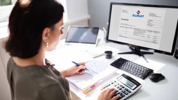 Tu negocio en regla y sin complicaciones empieza hoy a emitir boletas electrónicas